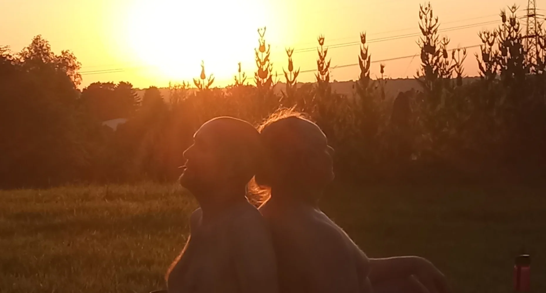 Bannerbild
