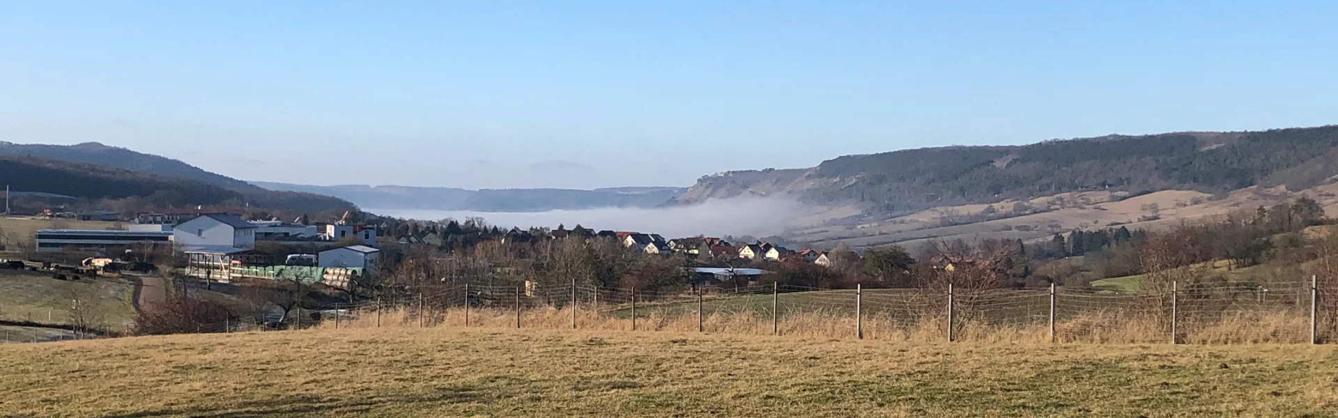 Bannerbild