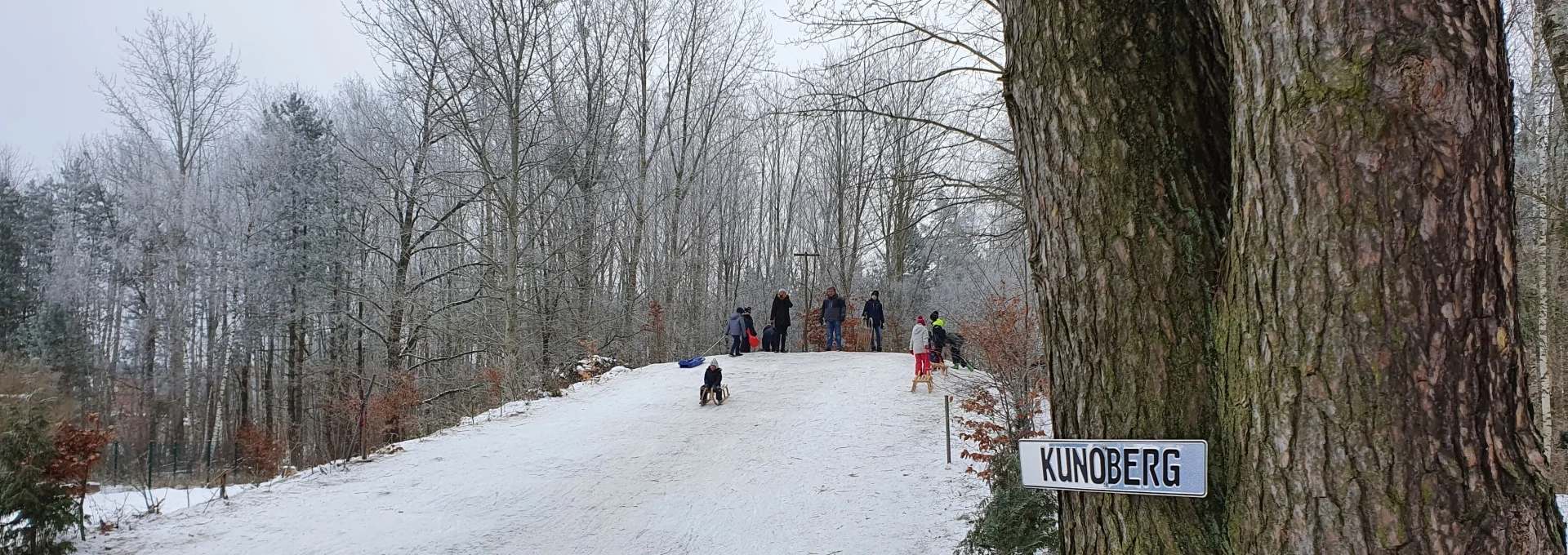 Bannerbild | zur Startseite