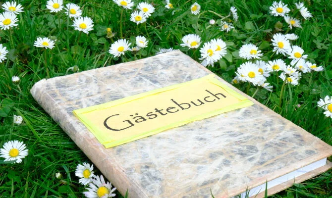 Bannerbild