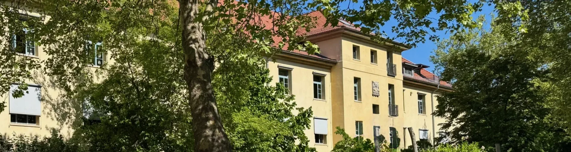 Schulgebäude aus Sicht des Schulhofs im Sommer