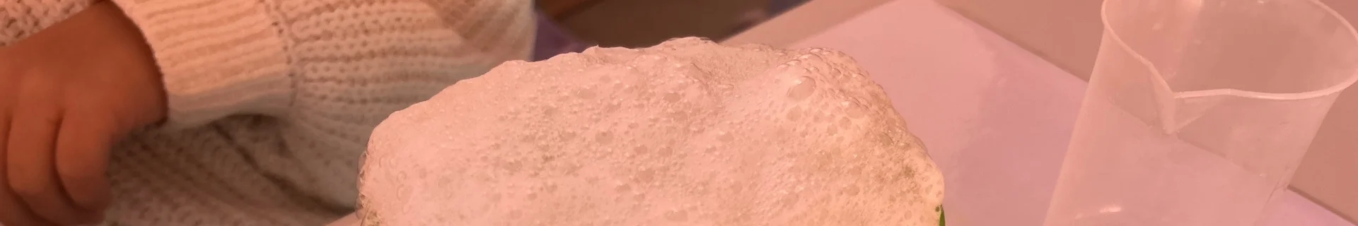 Schaum - Dinosaurier | zur Startseite