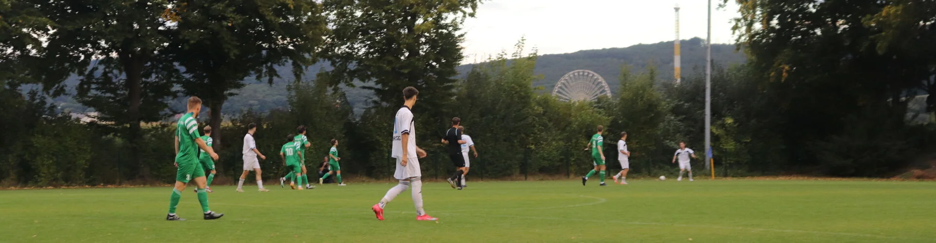 Bannerbild