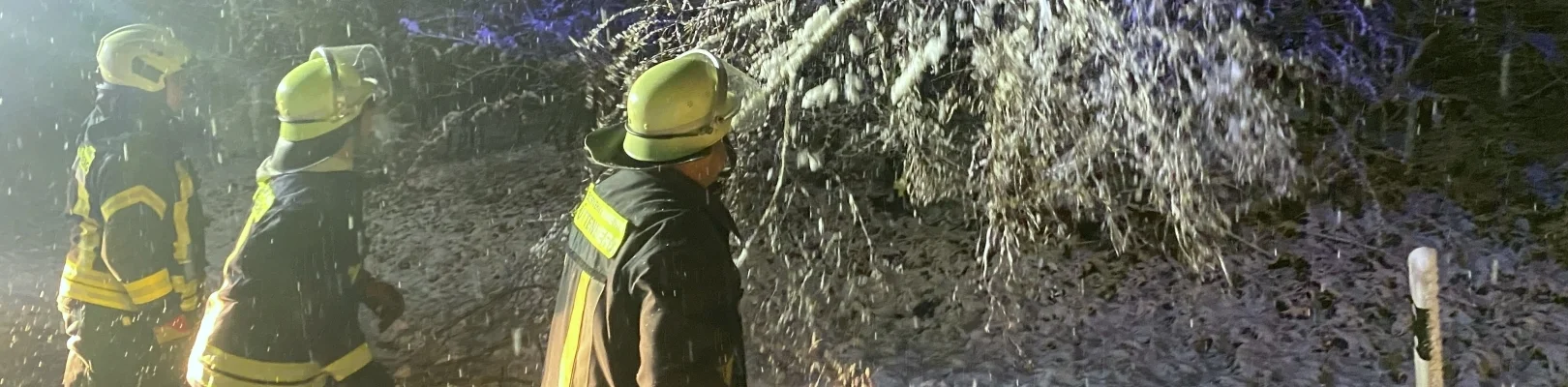 Bannerbild