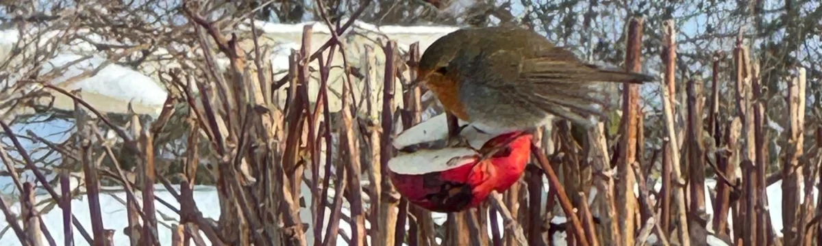 Bannerbild | zur Startseite