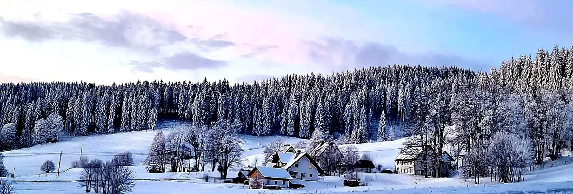 Bannerbild