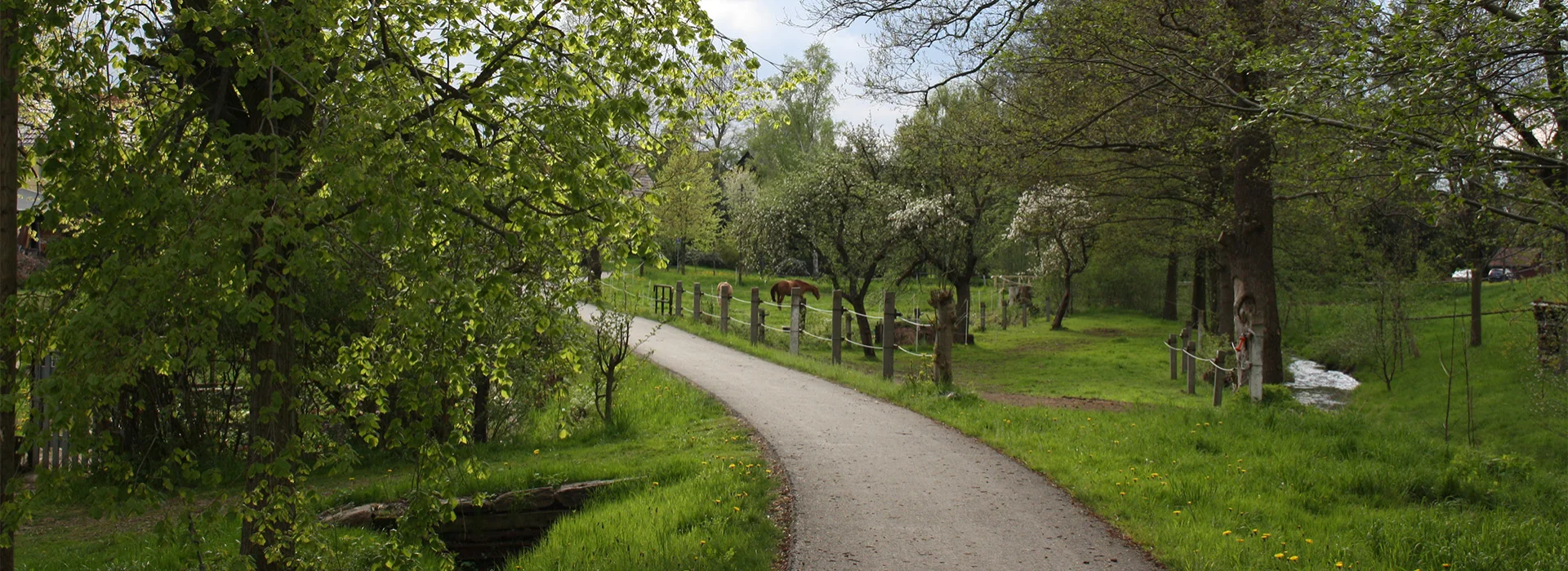 Bannerbild