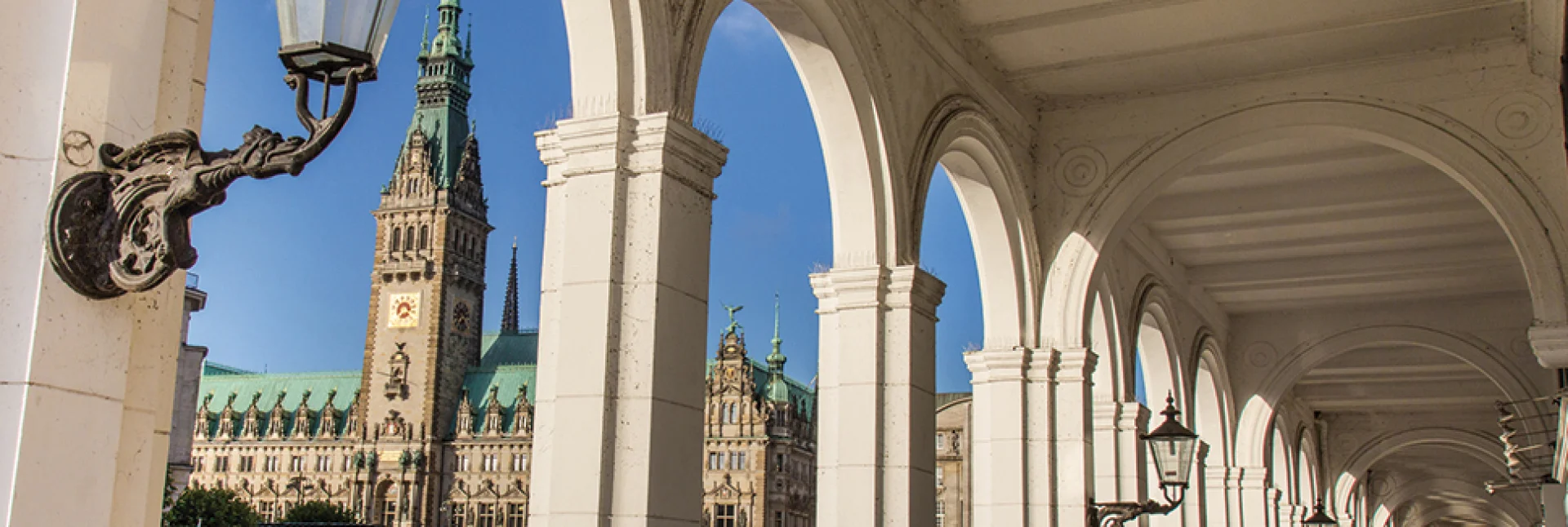 Bannerbild
