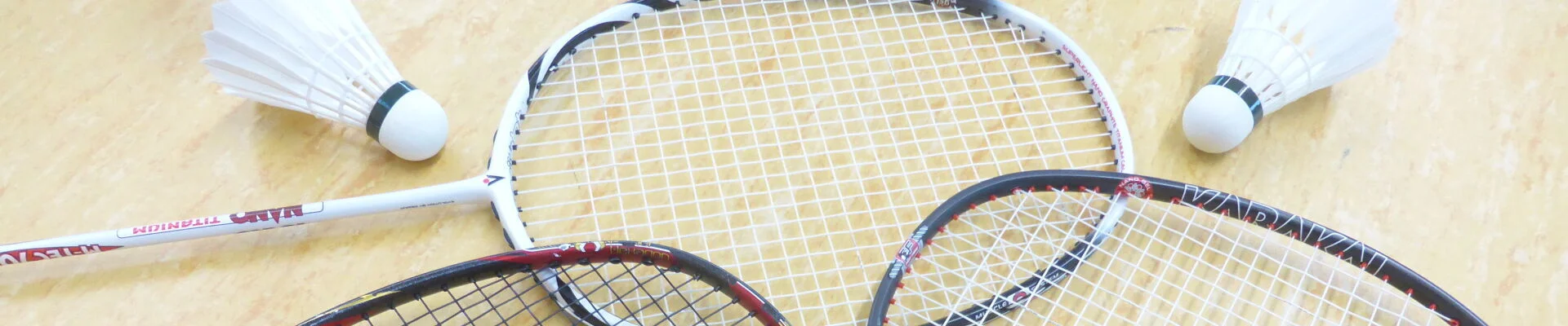 Bannerbild