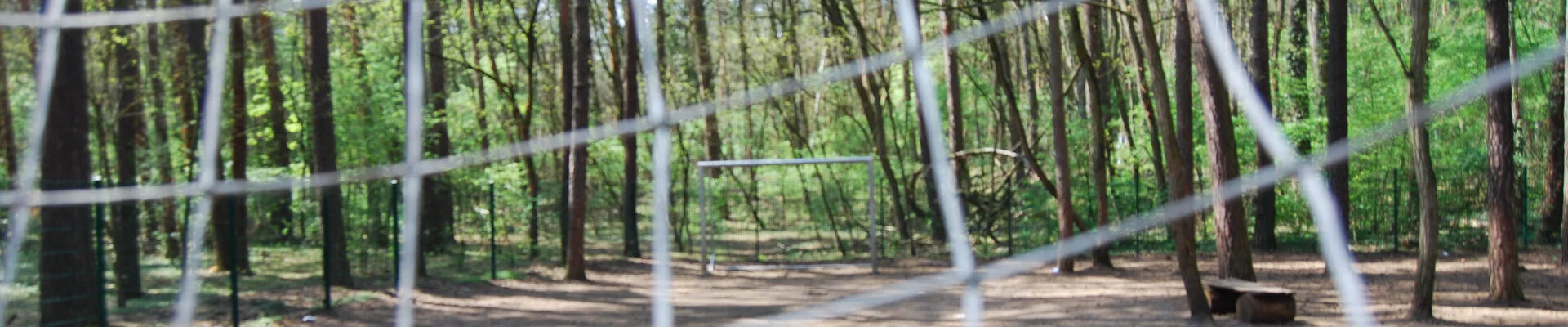 Bannerbild
