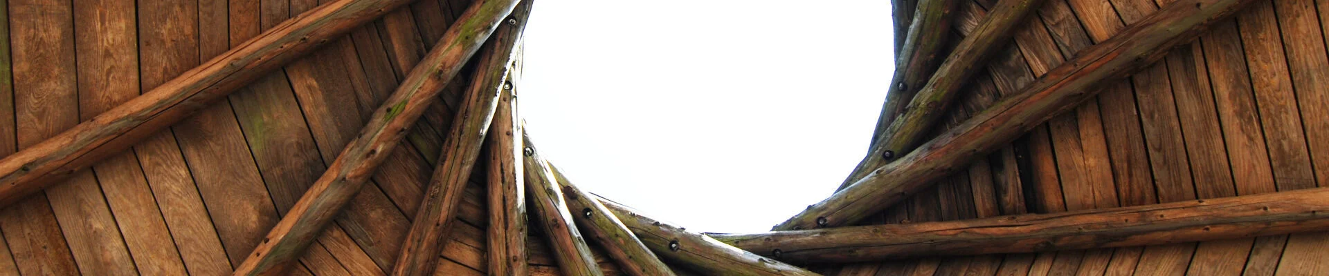 Bannerbild