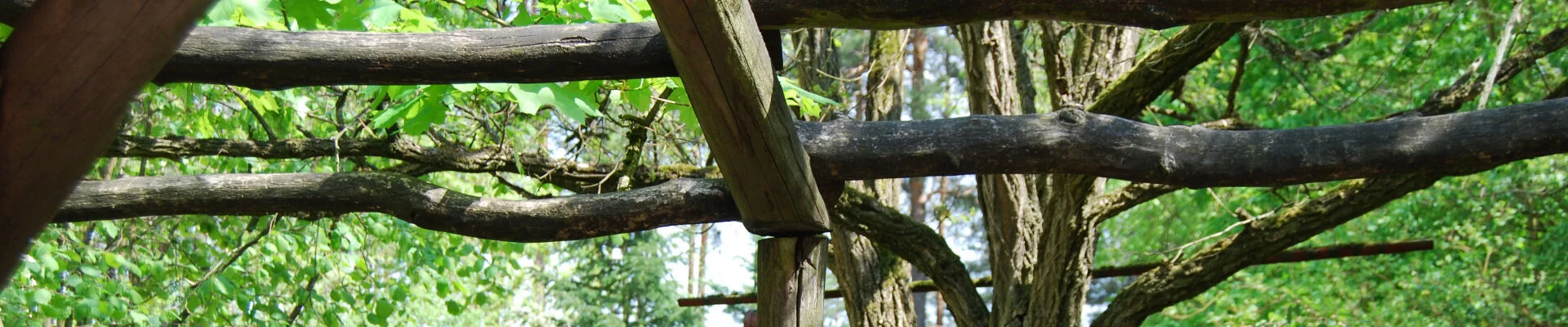Bannerbild