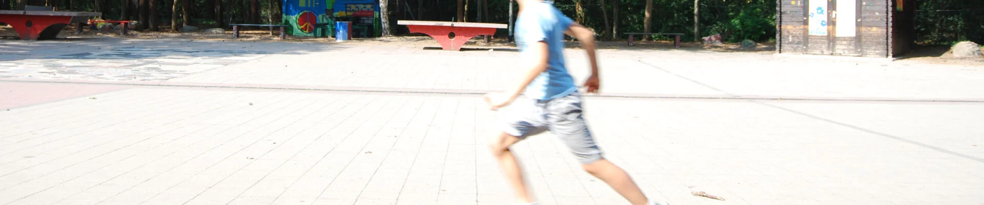 Bannerbild