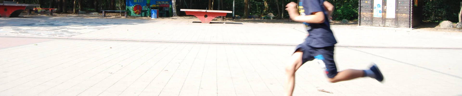 Bannerbild
