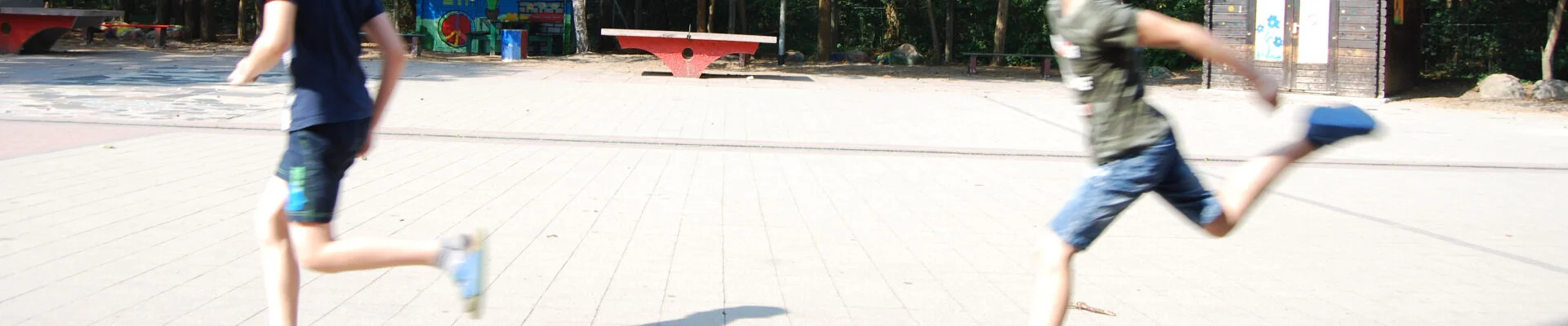 Bannerbild