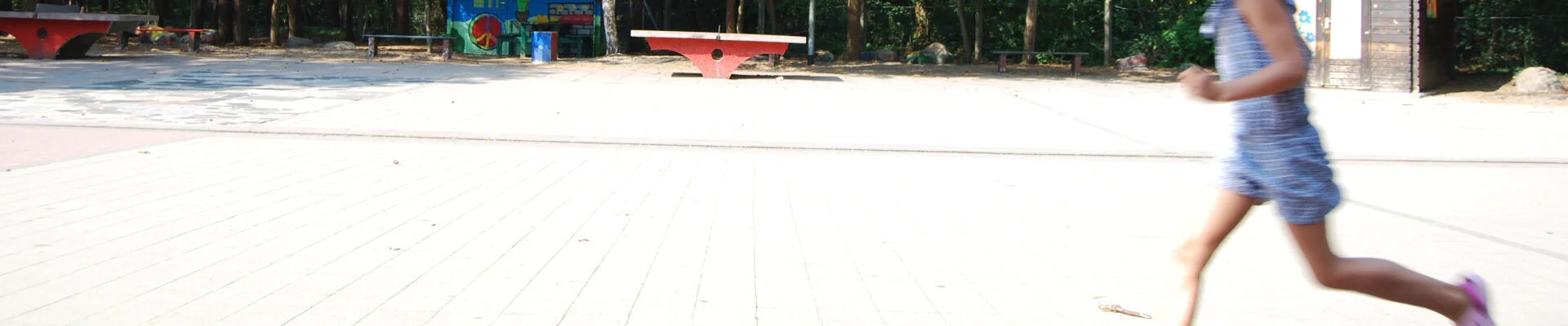 Bannerbild