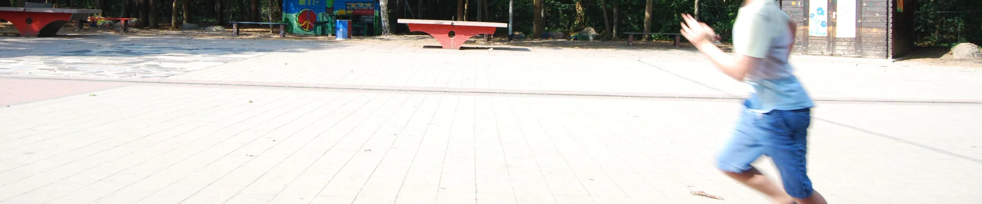 Bannerbild