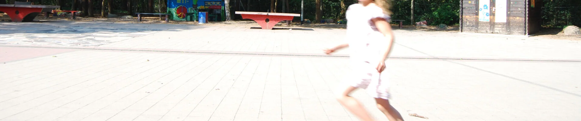 Bannerbild