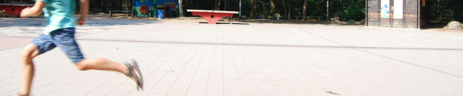 Bannerbild