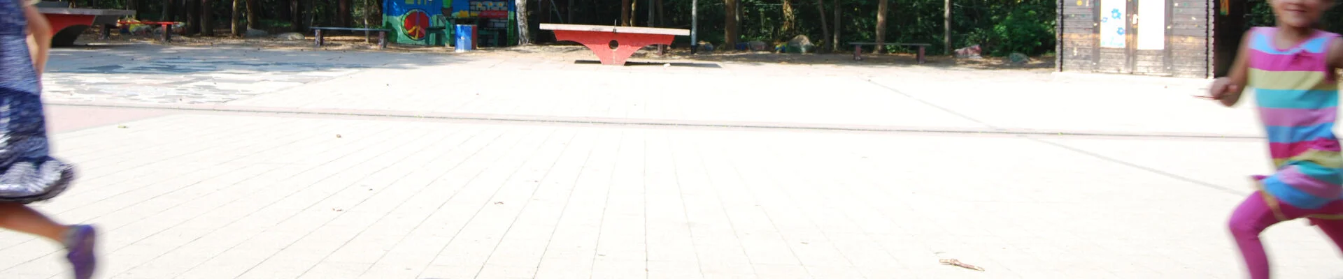 Bannerbild