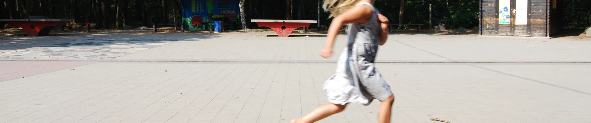Bannerbild