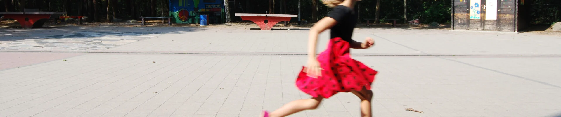 Bannerbild