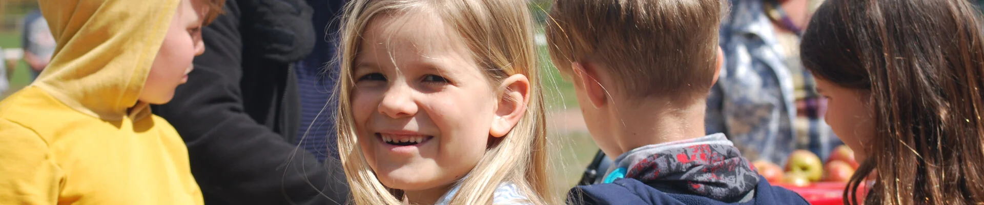 Bannerbild