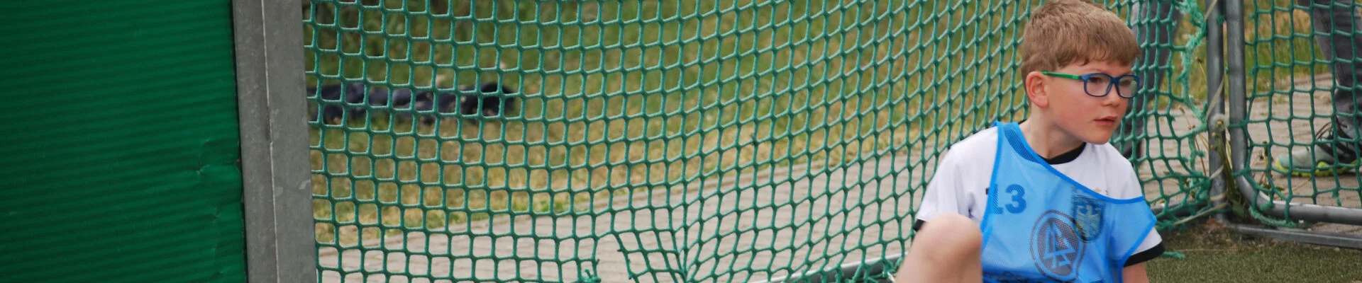 Bannerbild