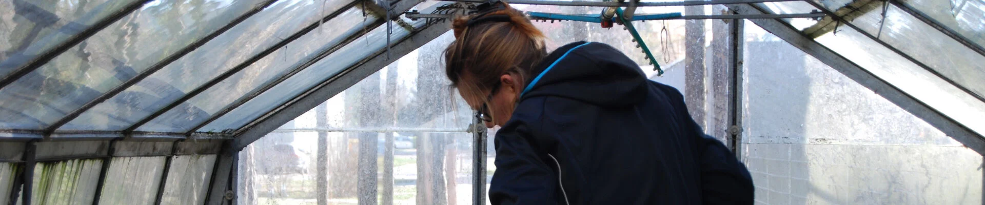 Bannerbild