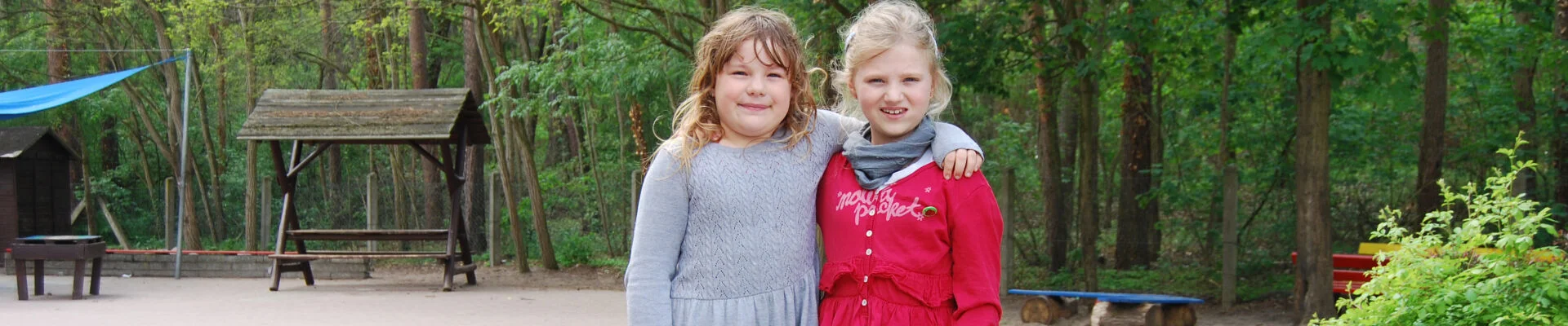 Bannerbild