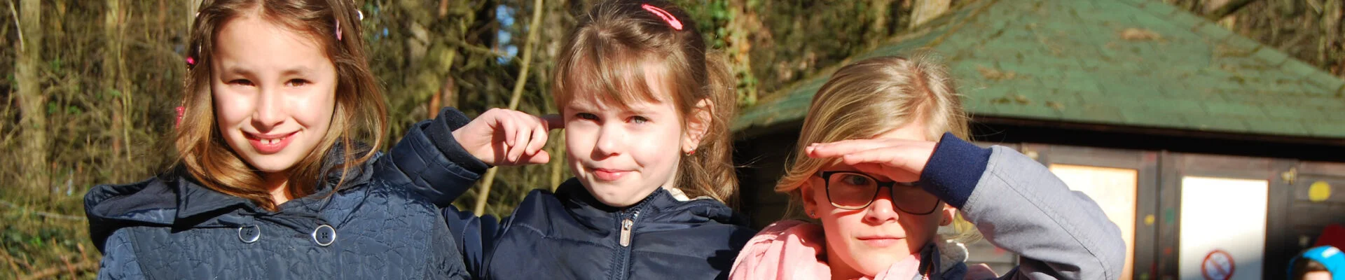 Bannerbild