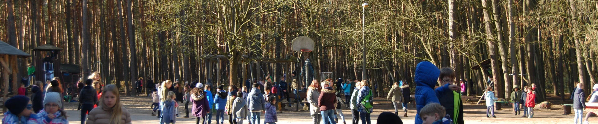Bannerbild
