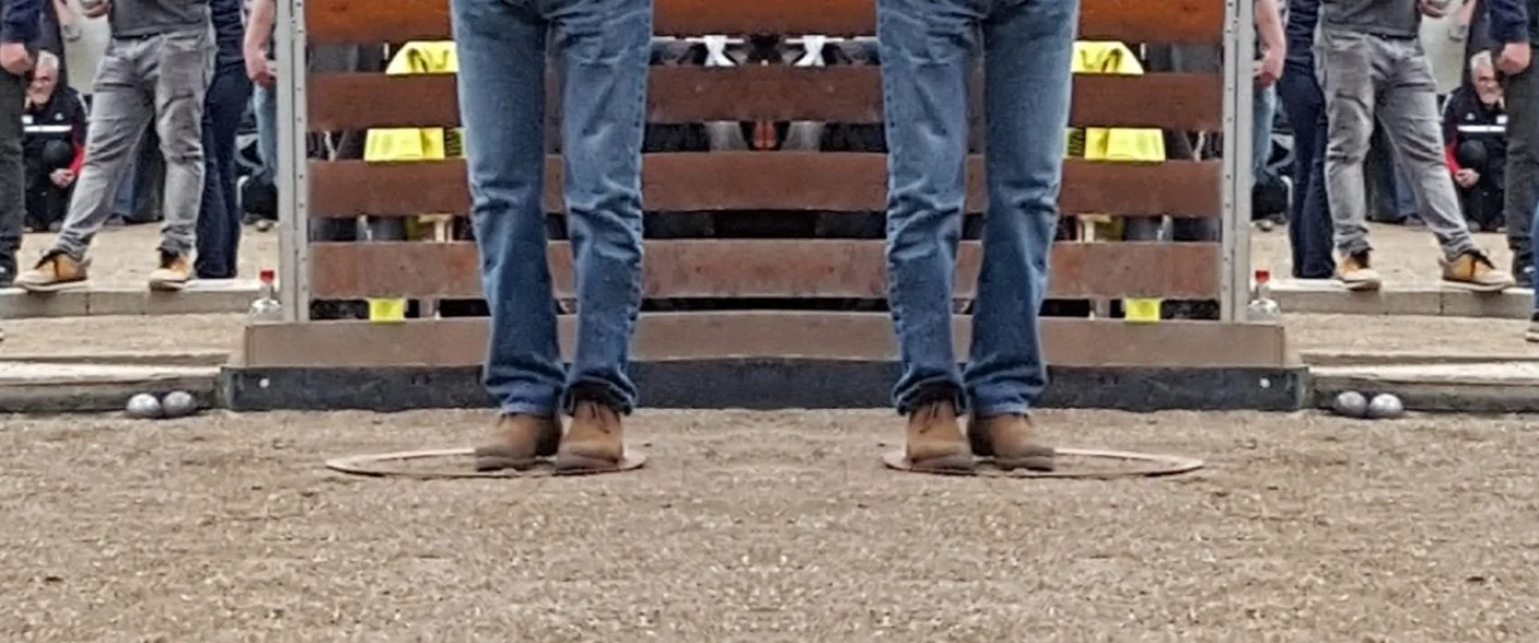 Bannerbild