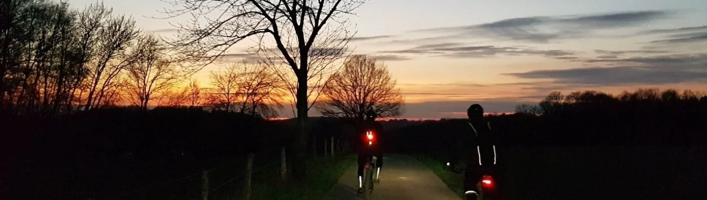 Bannerbild
