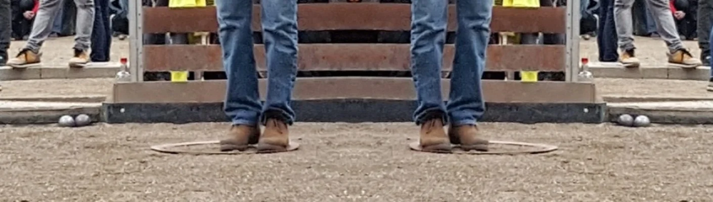 Bannerbild