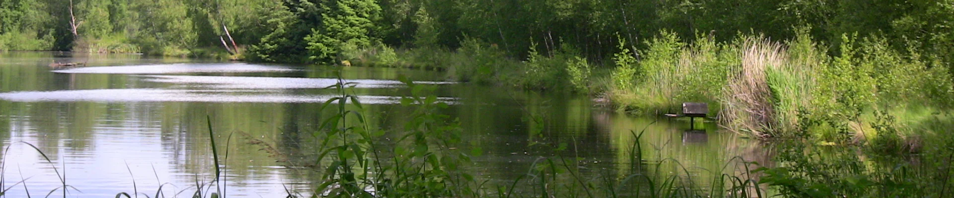 Koberger Moor