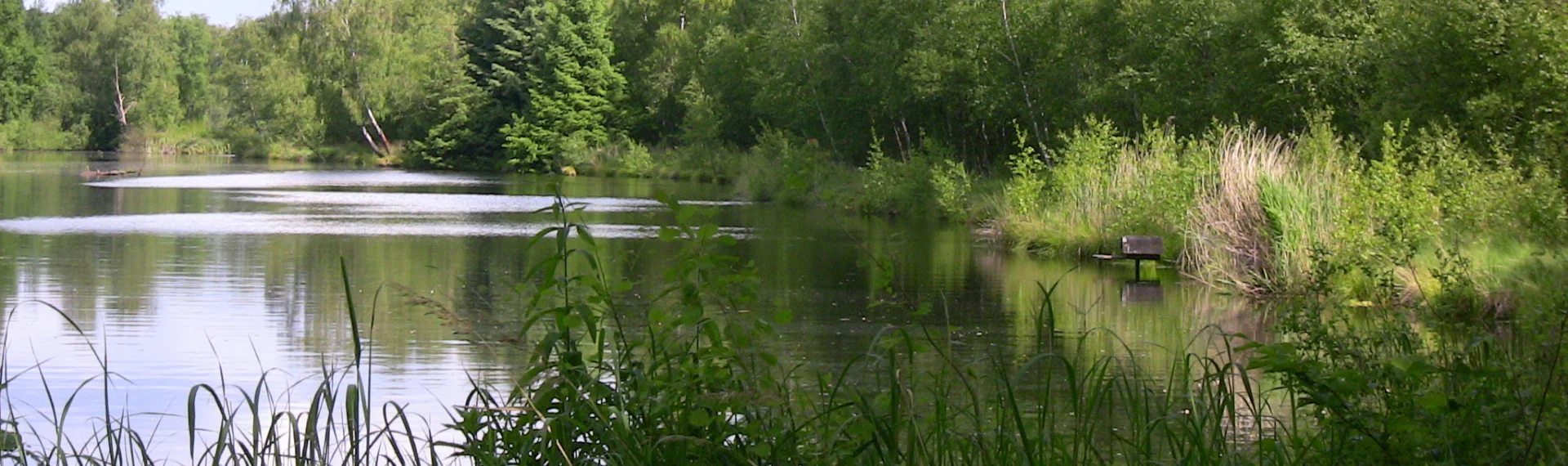 Koberger Moor
