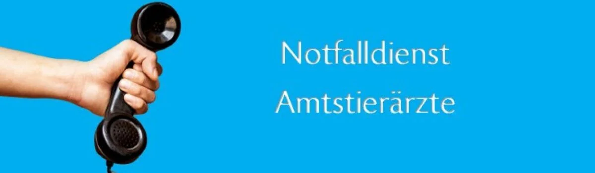 Bannerbild | zur Startseite