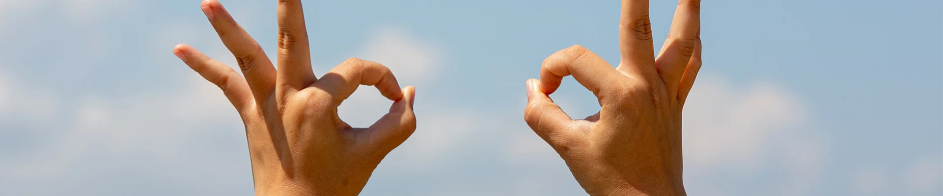 Bannerbild