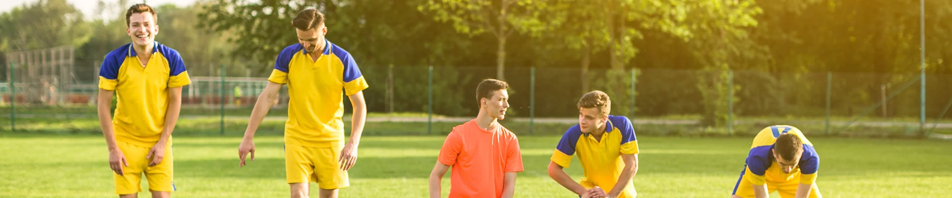 Bannerbild