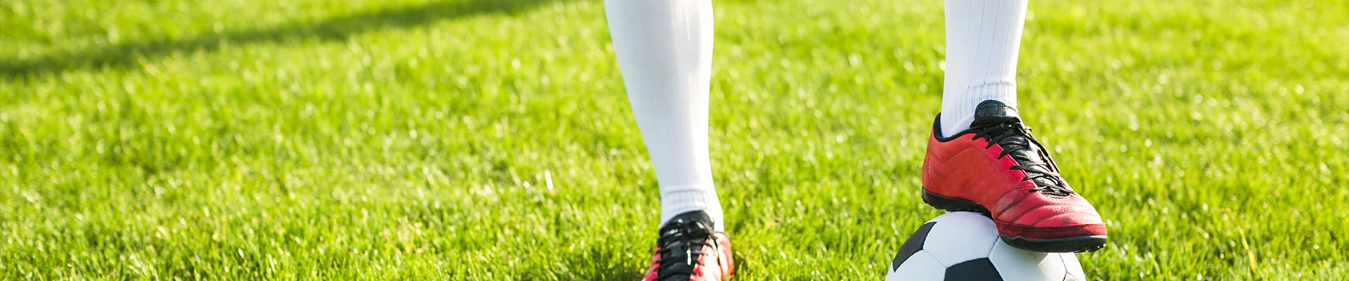 Bannerbild