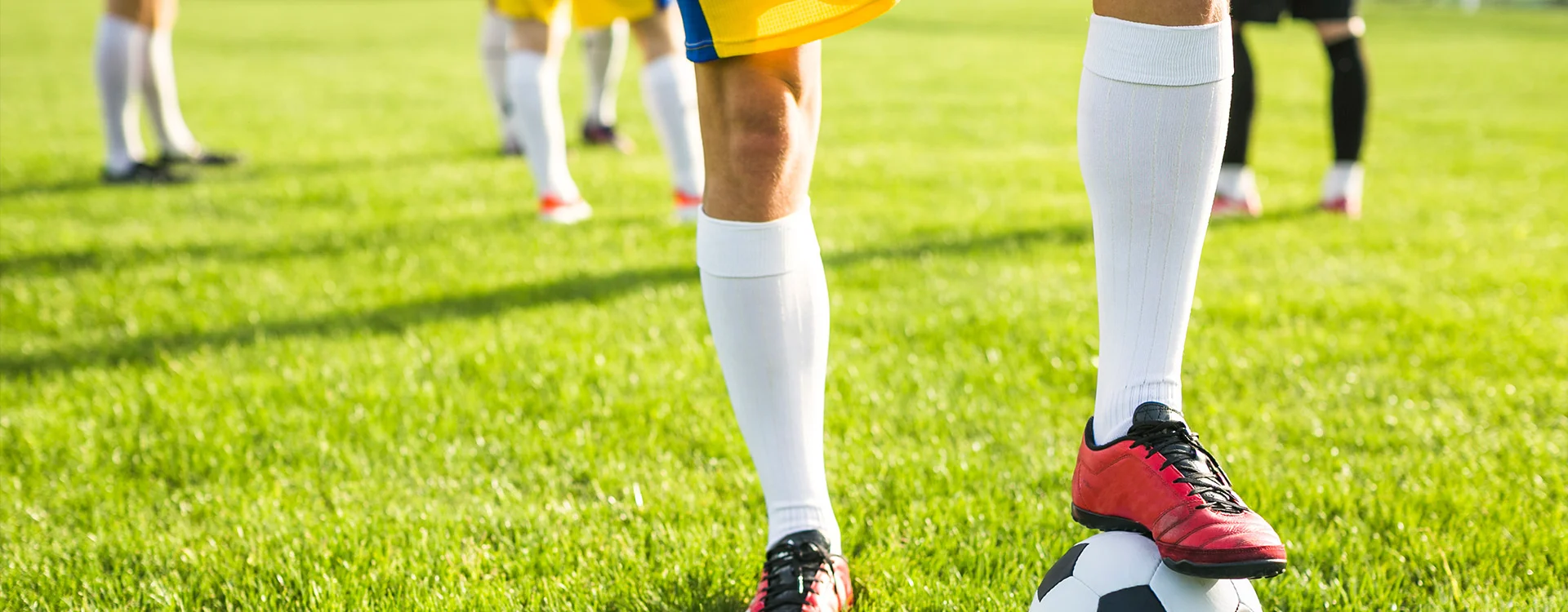 Bannerbild