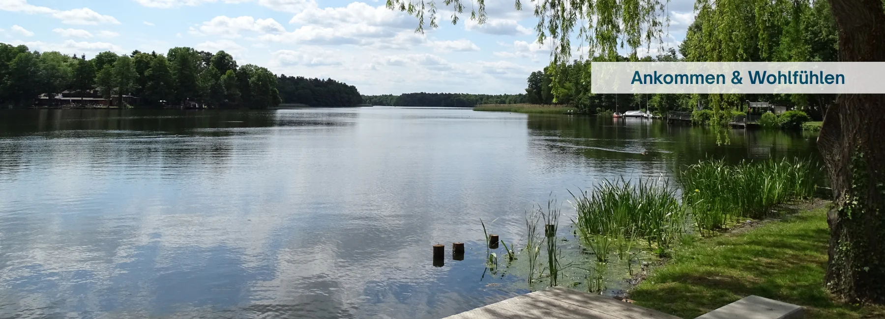 Bannerbild
