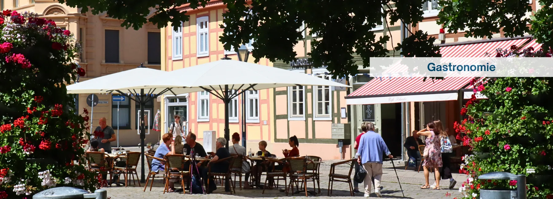 Bannerbild