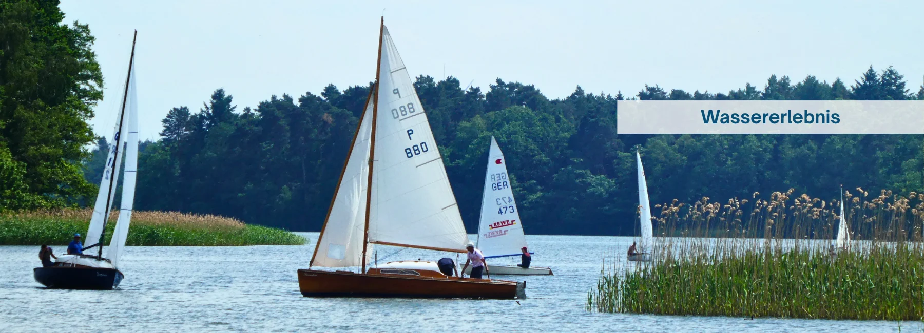 Bannerbild