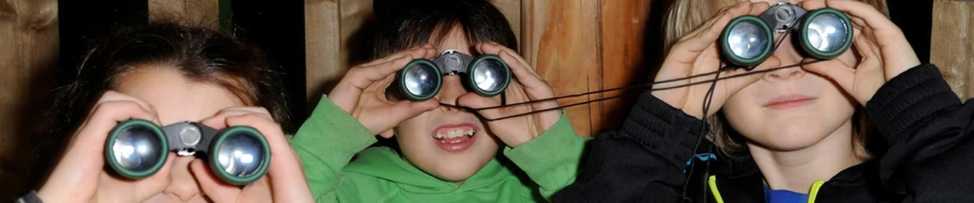 Bannerbild
