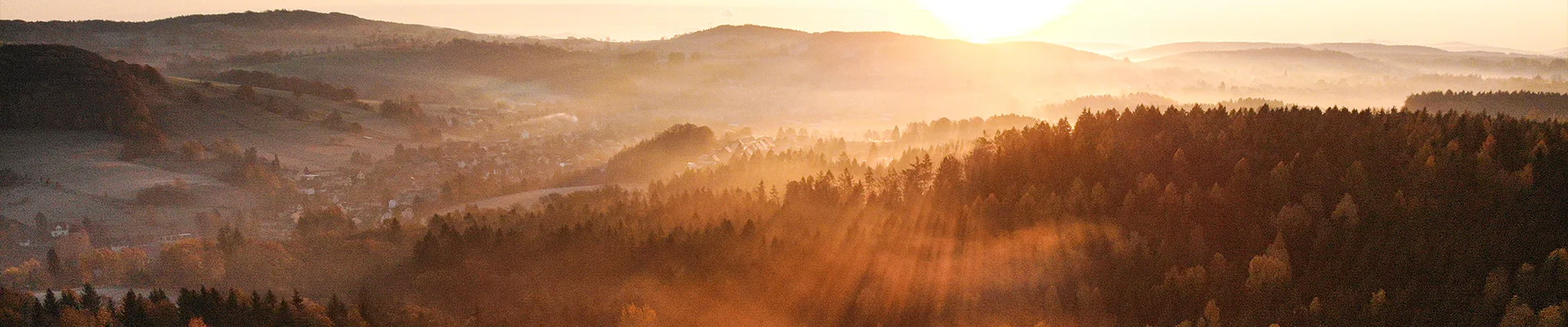 Bannerbild