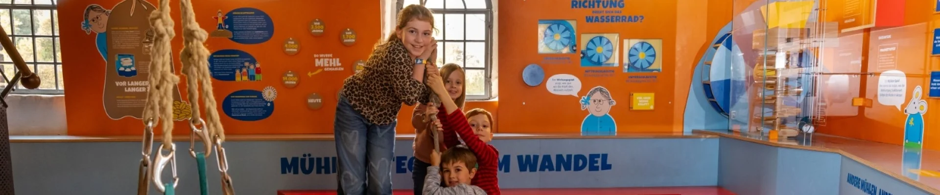 Bannerbild