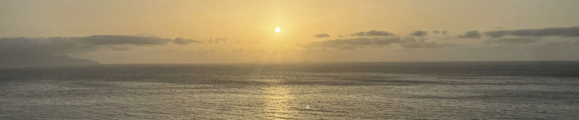 Bannerbild