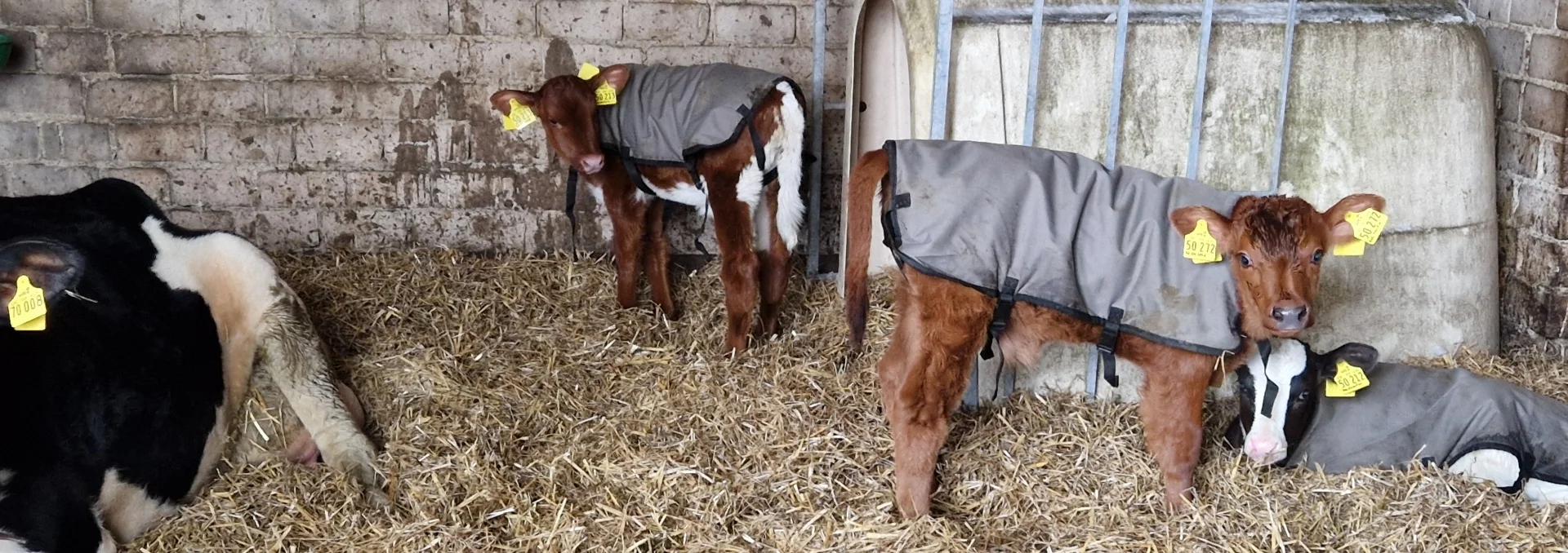 Im dicken Wintermantel in der Mutter-Kind- WG | zur Startseite